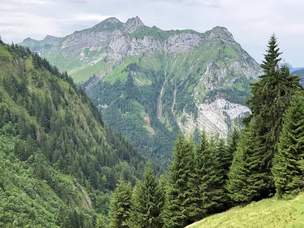Sihltal vadisinde ve Sihlsee Gölü, Studen - Schwyz Kantonu, İsviçre