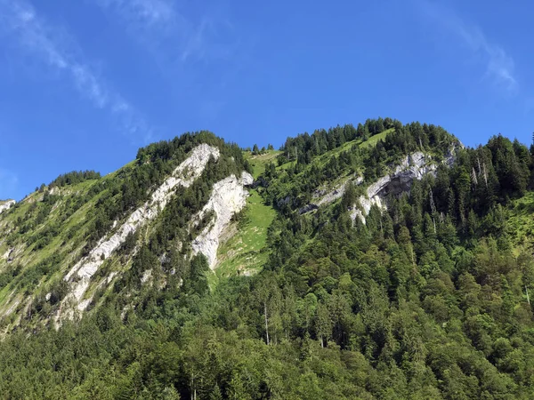Immergrüne Nadelwälder Sihltal Und Künstlichen Sihlsee Studen Kanton Schwyz Schweiz — Stockfoto