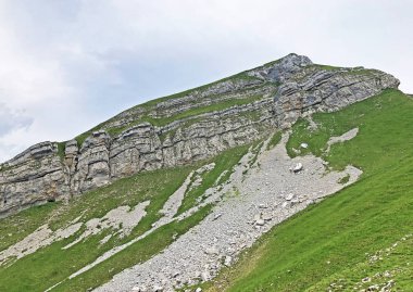 Wagital veya Waegital Vadisi 'nin yukarısındaki Alp Dağı Diethelm ve Wagitalersee Gölü (Waegitalersee), İsviçre - Schwyz Kantonu, İsviçre