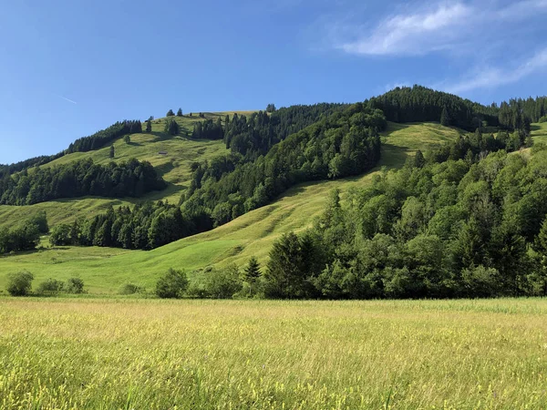 Alpine Hill Stockrain Dessus Vallée Sihltal Lac Artificiel Sihlsee Studen — Photo