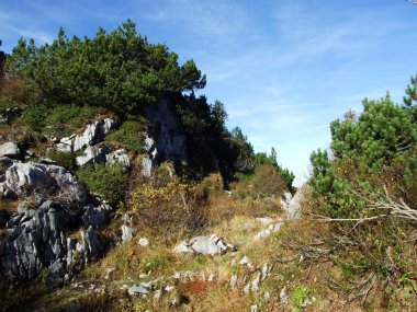 Churfirsten Dağları 'nda ve Toggenburg Bölgesi, Starkenbach - İsviçre' nin St. Gallen Kantonu 'nda yürüyüş ve yürüyüş yolları