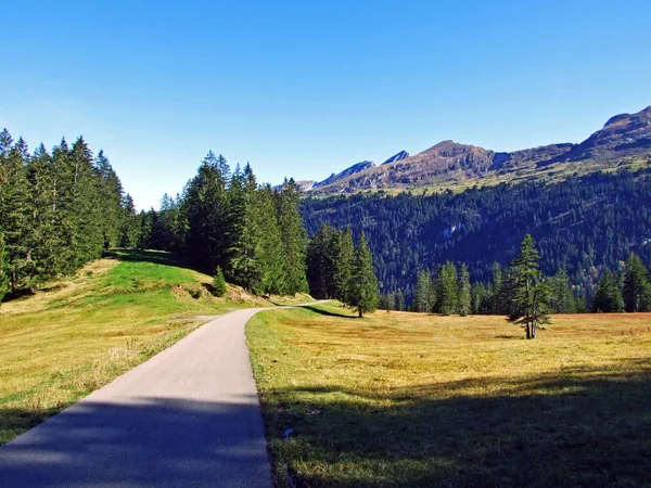 Подорожі Походи Горах Черперстень Тоггенбург Старкенбах Кантон Санкт Галлені Швейцарія — стокове фото