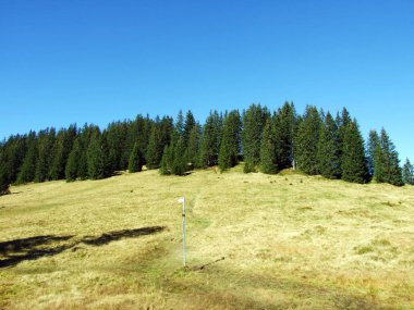 Churfirsten sıradağlarında ve Toggenburg bölgesinde, Starkenbach - St. Gallen Kantonu, İsviçre
