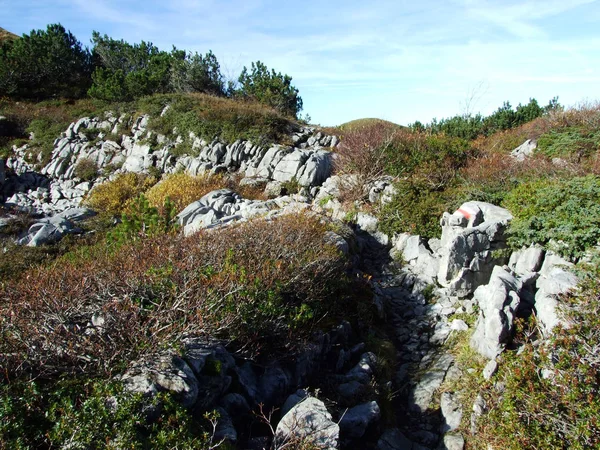 Камни Скалы Горного Хребта Churfirsten Регионе Тоггенбург Штаркенбах Кантон Санкт — стоковое фото