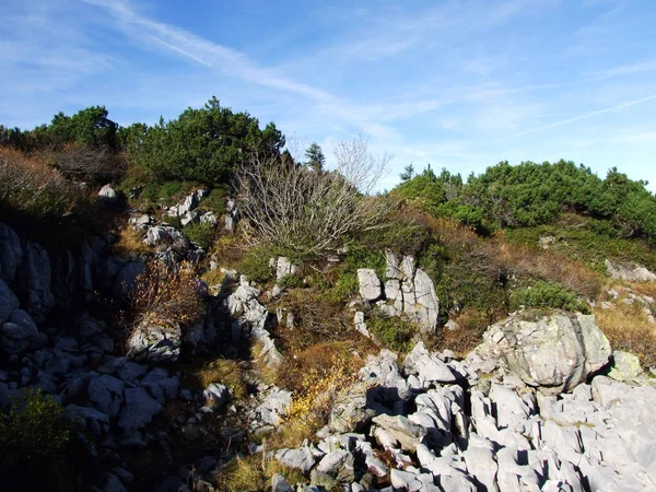 Stones Rocks Churfirsten Mountain Range Toggenburg Region Starkenbach Canton Gallen — 스톡 사진