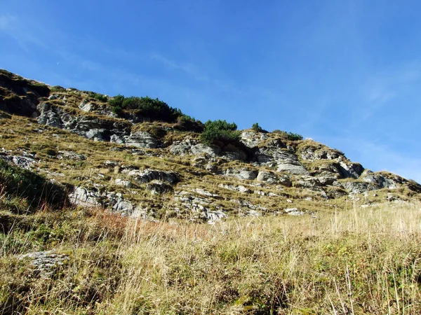 Piedras Rocas Cordillera Churfirsten Región Toggenburg Starkenbach Cantón Gallen Suiza — Foto de Stock