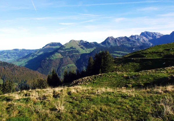 Alpské Pastviny Pastviny Pohoří Churfirsten Regionu Toggenburg Starkenbach Kanton Gallen — Stock fotografie