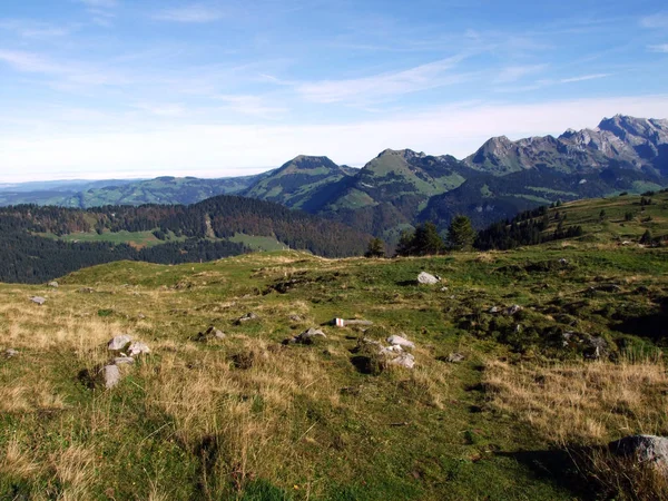 Alpesi Legelők Legelők Churfirsten Hegységben Toggenburg Régióban Starkenbach Gallen Kanton — Stock Fotó