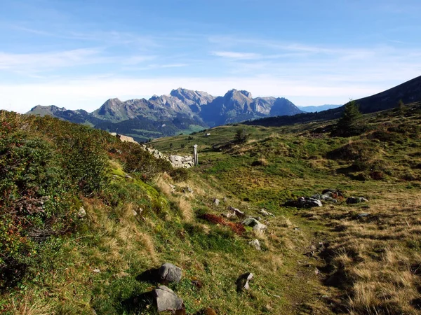 Pastos Alpinos Pastizales Cordillera Churfirsten Región Toggenburg Starkenbach Cantón Gallen —  Fotos de Stock