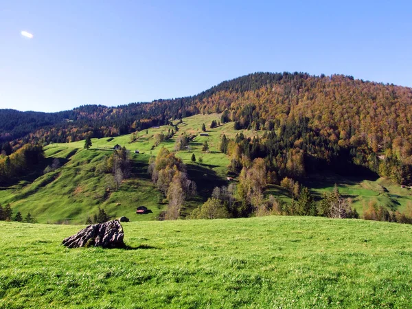 Pastwiska Alpejskie Użytki Zielone Pasmie Górskim Churfirsten Oraz Regionie Toggenburg — Zdjęcie stockowe