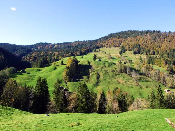 Pâturages Prairies Alpines Sur Chaîne Montagnes Churfirsten Dans Région Toggenburg — Photo