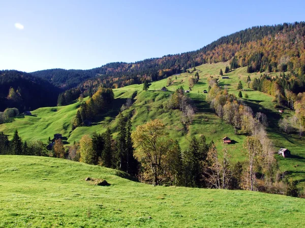 Pastos Alpinos Pastizales Cordillera Churfirsten Región Toggenburg Starkenbach Cantón Gallen — Foto de Stock