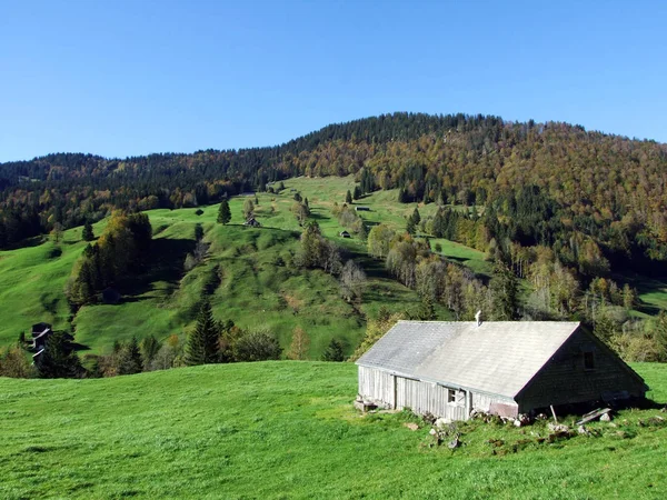 Traditional Architecture Farmhouses Churfirsten Mountain Range Toggenburg Region Starkenbach Canton — ストック写真