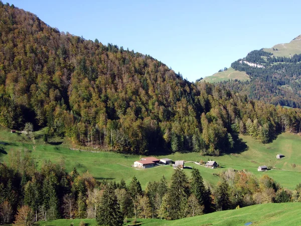 Architektura Tradycyjna Gospodarstwa Rolne Pasmie Górskim Churfirsten Regionie Toggenburg Starkenbach — Zdjęcie stockowe