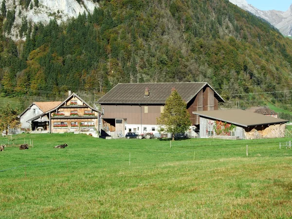 Traditionele Architectuur Boerderijen Churfirsten Bergketen Regio Toggenburg Starkenbach Kanton Gallen — Stockfoto