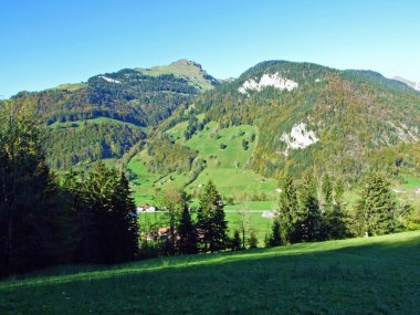 Churfirsten sıradağları ve Toggenburg bölgesi, Starkenbach - İsviçre 'nin St. Gallen Kantonu' ndaki karışık orman ve ağaçlar.