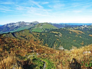 Churfirsten sıradağlarında ve Toggenburg bölgesinde, Starkenbach - St. Gallen, İsviçre Kantonu - Evergreen veya kozalaklı ormanlar