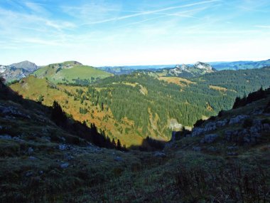 Churfirsten sıradağlarında ve Toggenburg bölgesinde, Starkenbach - St. Gallen, İsviçre Kantonu - Evergreen veya kozalaklı ormanlar