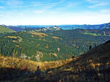 Churfirsten sıradağlarında ve Toggenburg bölgesinde, Starkenbach - St. Gallen, İsviçre Kantonu - Evergreen veya kozalaklı ormanlar