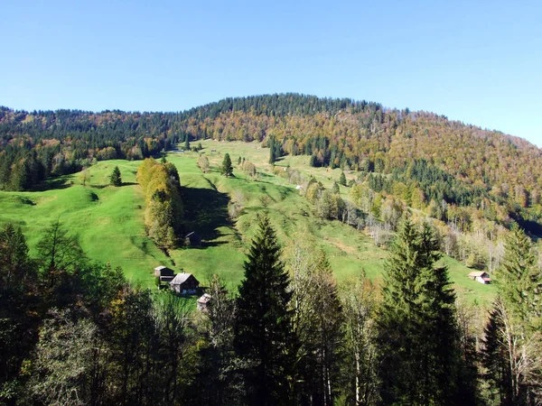 Forêts Mixtes Arbres Sur Chaîne Montagnes Churfirsten Dans Région Toggenburg — Photo