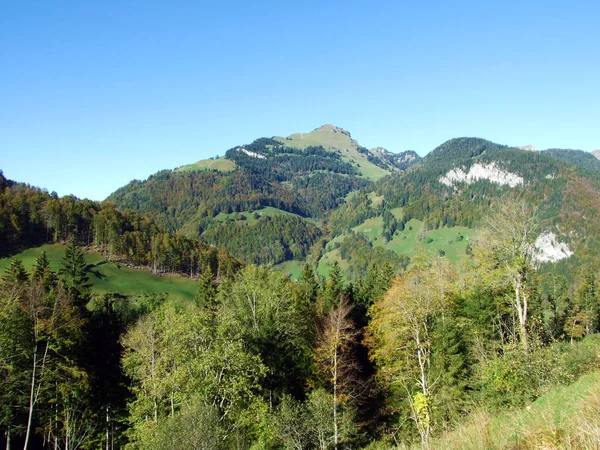 Gemengde Bossen Bomen Churfirsten Bergketen Regio Toggenburg Starkenbach Kanton Gallen — Stockfoto