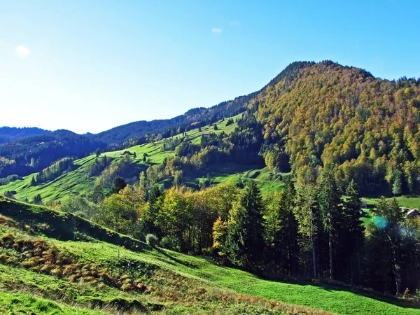 Florestas Árvores Mistas Cordilheira Churfirsten Região Toggenburg Starkenbach Cantão Gallen — Fotografia de Stock
