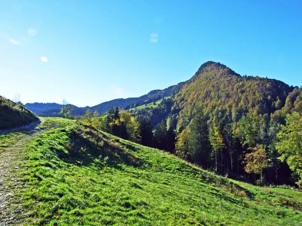 瑞士Starkenbach Canton Gallen的Churfirsten山脉和Toggenburg地区的混合森林和树木 — 图库照片