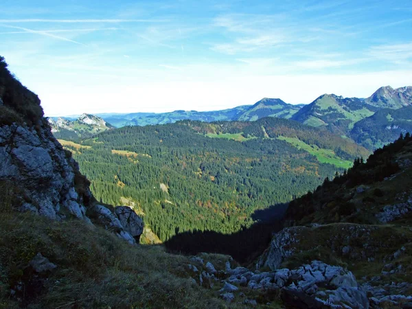 Örökzöld Vagy Tűlevelű Erdők Churfirsten Hegységben Toggenburg Régióban Starkenbach Gallen — Stock Fotó