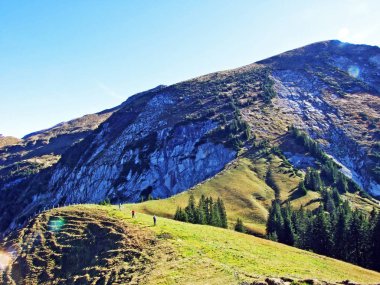 Alpine mountain Leistchamm above the Wahlensee Lake and in the Churfirsten mountain range, Starkenbach - Canton of St. Gallen, Switzerland