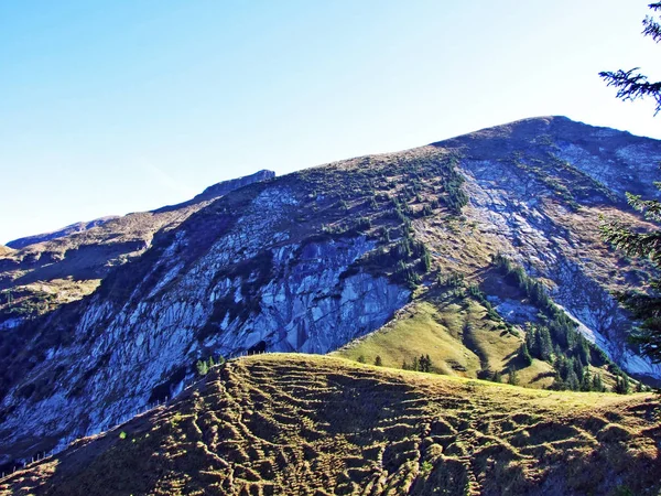 Montaña Alpina Leistchamm Sobre Lago Wahlensee Cordillera Churfirsten Starkenbach Cantón —  Fotos de Stock