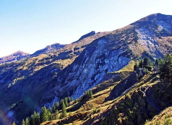 Montagne Alpine Leistchamm Dessus Lac Wahlensee Dans Chaîne Montagnes Churfirsten — Photo