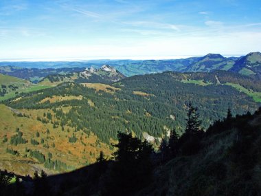 Panorama from the alpine peak Leistchamm situated above the Wahlensee Lake and in the Churfirsten mountain range, Starkenbach - Canton of St. Gallen, Switzerland