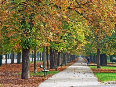 Yeşil Prater - Viyana 'da büyük bir halk parkı (Wien) - Viyana, Avusturya