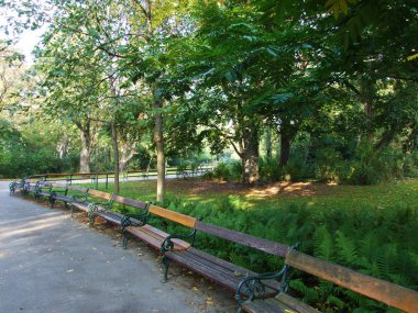 Wiener Stadtpark, Wien (İngiliz tarzı, 19. yüzyıl halk parkı, nehir, süslü köprüler ve yaldızlı Johann Strauss heykeli) - Viyana, Avusturya