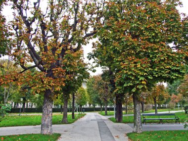 Volksgarten Wien (Strauss & Lanner bir zamanlar bu manikürlü halk parkında tapınaklar, pınarlar ve gül bahçeleriyle oynamıştı) - Viyana, Avusturya