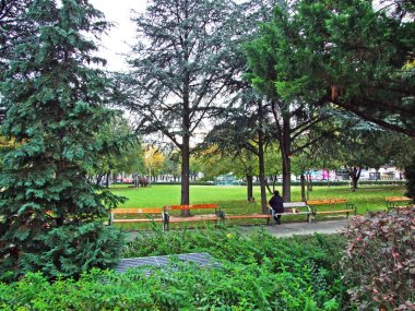 Sigmund-Freud-Park, Wien (çimenli çimenlik ve gölgeli ağaçları olan peyzaj alanı) - Viyana, Avusturya