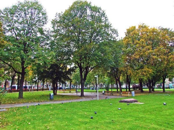 Sigmund Freud Park Wien Landschap Met Grasveld Schaduwbomen Wenen Oostenrijk — Stockfoto