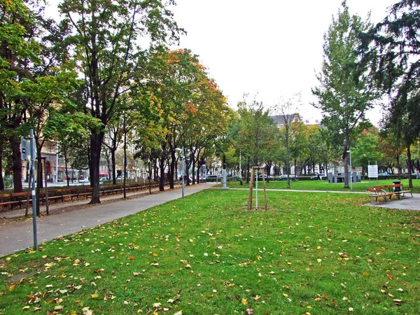 Sigmund Freud Park Wien Krajinářská Oblast Travnatým Trávníkem Stinnými Stromy — Stock fotografie