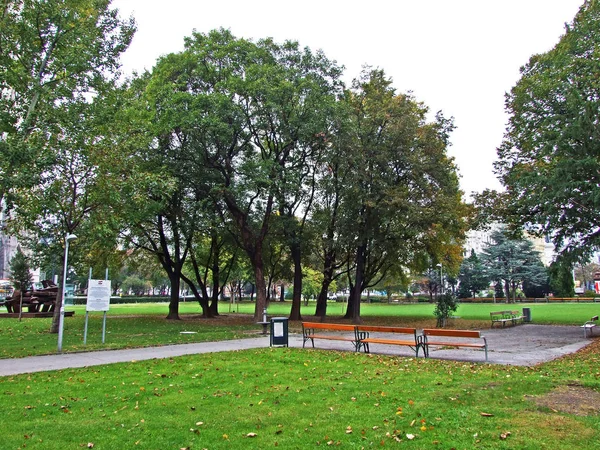 Sigmund Freud Park Wien 带草坪和树荫的风景区 奥地利维也纳 — 图库照片