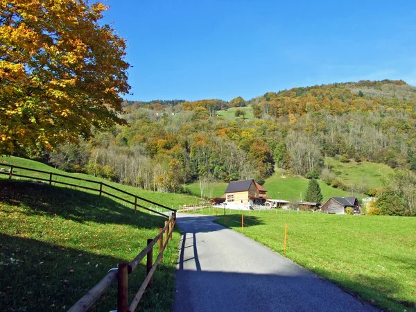 Rural Traditional Architecture Livestock Farms Slopes Alpstein Mountain Range Rhine — Stock Photo, Image