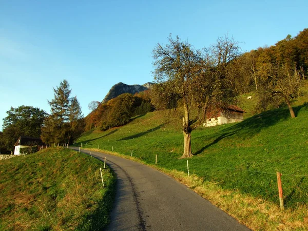 Rural Traditional Architecture Livestock Farms Slopes Alpstein Mountain Range Rhine — Stock Photo, Image