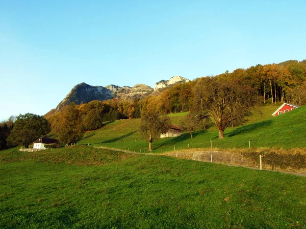 Rural Traditional Architecture Livestock Farms Slopes Alpstein Mountain Range Rhine — Stock Photo, Image