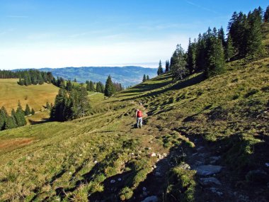 Alpstein dağlarının yamaçlarında yürüyüş ve yürüyüş yolları ve Ren nehri vadisinde (Rheintal) - İsviçre 'nin St. Gallen (Sg) Kantonu