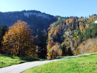 Alpstein dağlarının yamaçlarında yürüyüş ve yürüyüş yolları ve Ren nehri vadisinde (Rheintal) - İsviçre 'nin St. Gallen (Sg) Kantonu