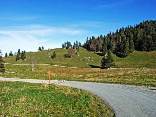 Sentieri Escursionistici Sulle Pendici Del Massiccio Alpino Nella Valle Del — Foto Stock