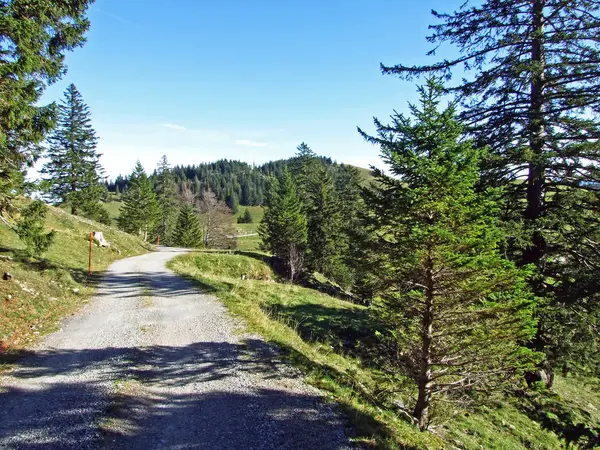 Trilhas Para Caminhadas Caminhadas Nas Encostas Maciço Montanhoso Alpstein Vale — Fotografia de Stock