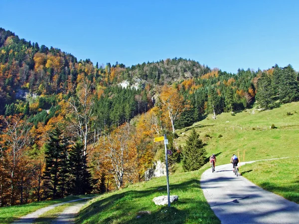 瑞士圣加仑州Alpstein山区地块和莱茵河流域 莱茵塔尔 斜坡上的远足和行走小径 — 图库照片