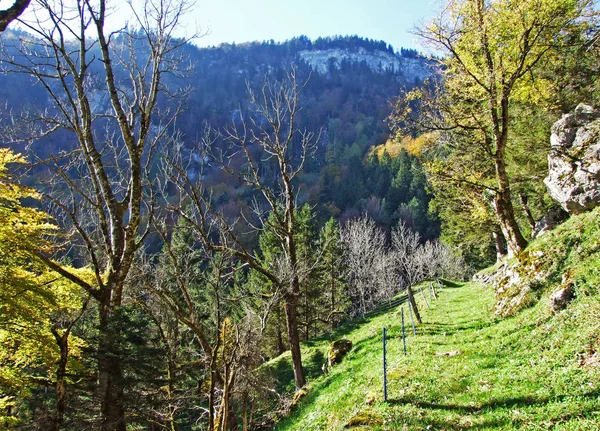 Sentiers Pédestres Pédestres Sur Les Flancs Massif Montagneux Alpstein Dans — Photo