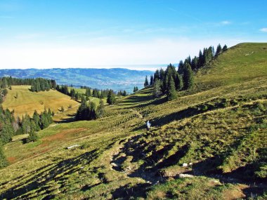 Alpstein Dağları 'nın yamaçlarında ve Ren Nehri Vadisi' nde (Rheintal) yer alan otlaklar ve otlaklar - İsviçre 'nin St. Gallen Kantonu, İsviçre