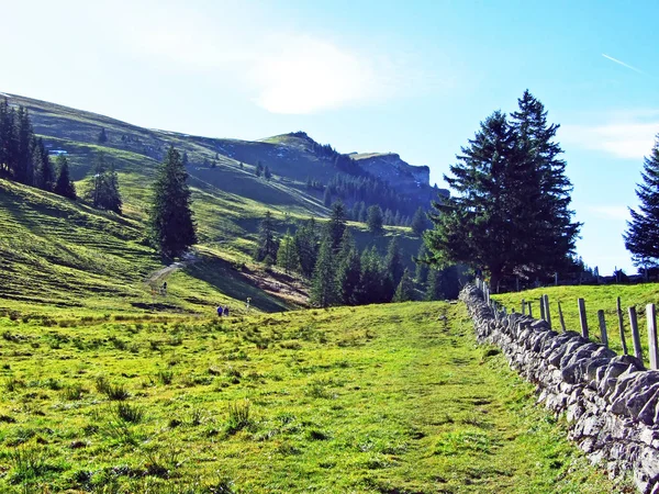 瑞士圣加仑州Alpstein山区地块和莱茵河流域 莱茵塔尔 斜坡上的高山牧场和草原 — 图库照片